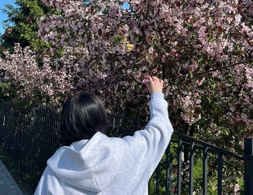 Chatroom XXX hors ligne de Ellyfly