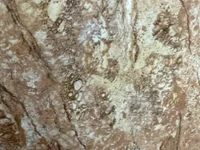 noorqwertz's webcam live show