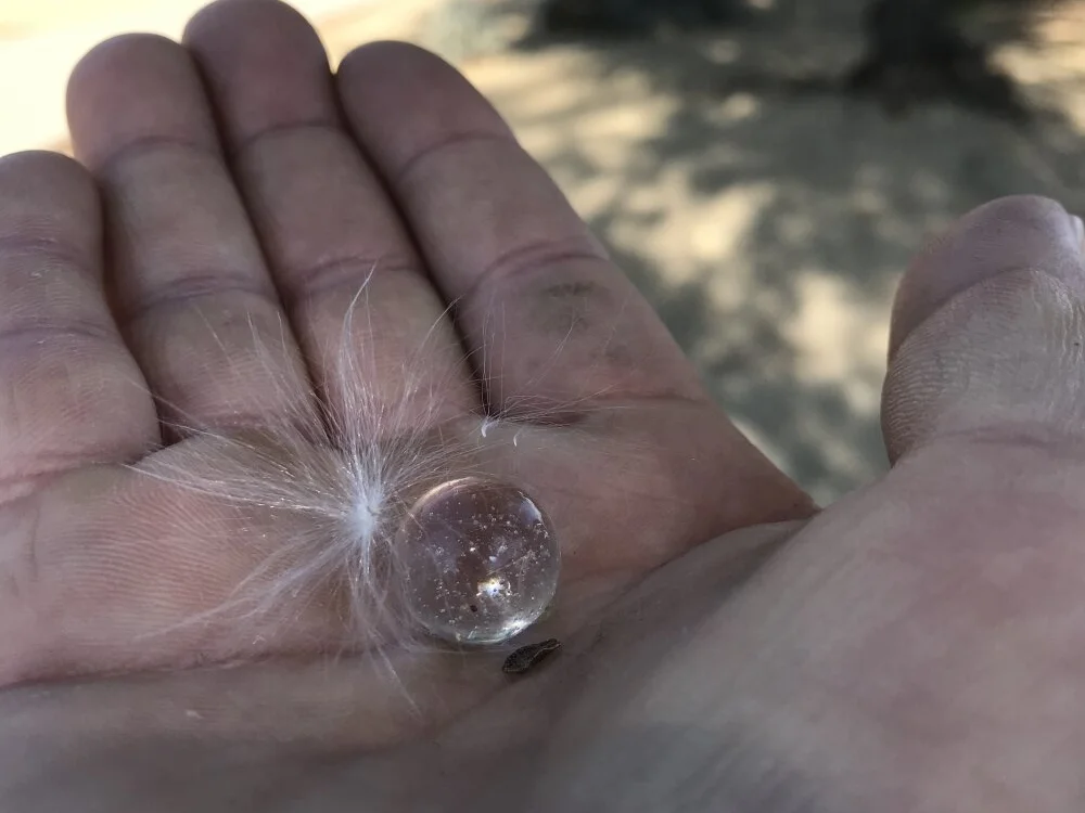 j_760 Chat XXX offline