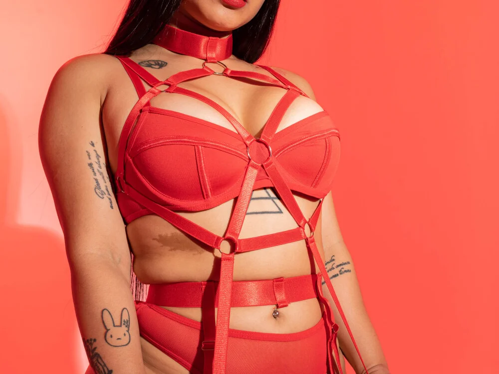 Chat +18 off-line de ReinaChloe