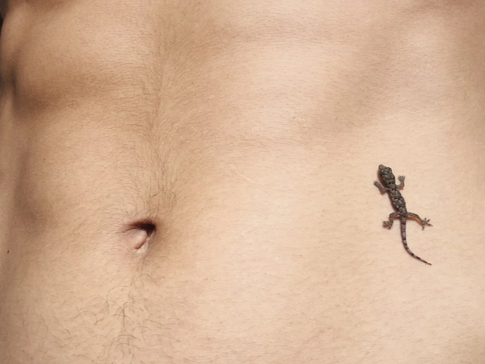 CoupleMia offline XXX-chat