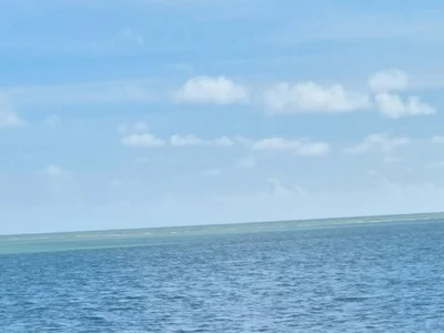 young_hot_baby profile