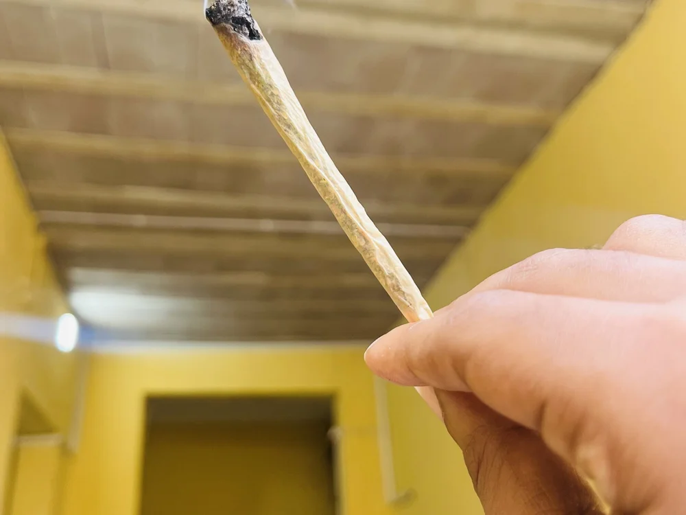 ViragoFarctate Chat XXX offline