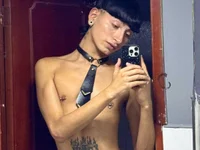 Модель slim_tian