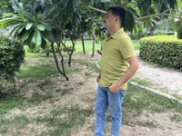 GIRLSDREAMBOY's webcam live show