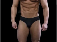 Bigbull2