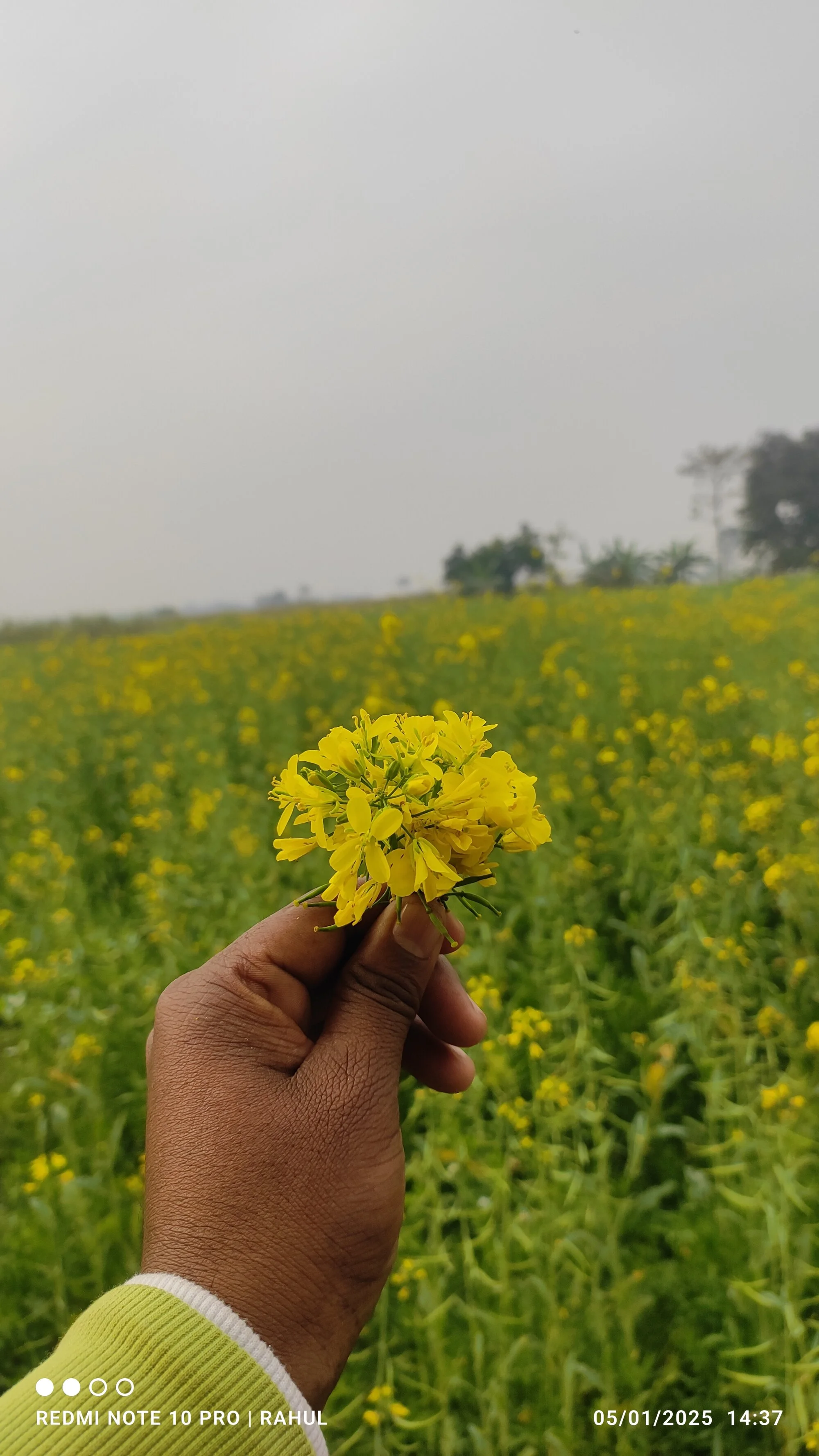 zindagijio