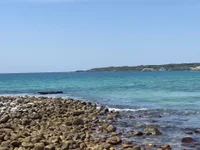 amida111 live cam profile - MySuperHot