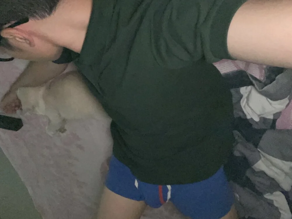 Pikachu19yo 离线XXX聊天