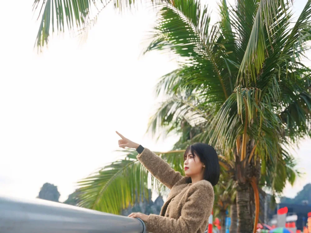 Phamphamxx's Offline XXX Chat