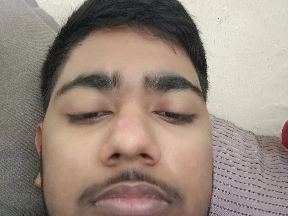 fuck_duck offline XXX-chat