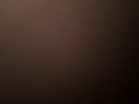 Модель Davisuarez