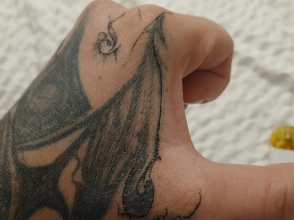 DeepPheonix 离线XXX聊天