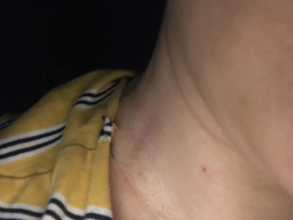 pansy-03's Offline XXX Chat