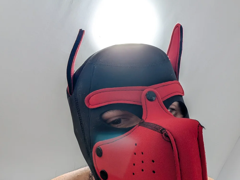 DogSonX's Offline Chat Room