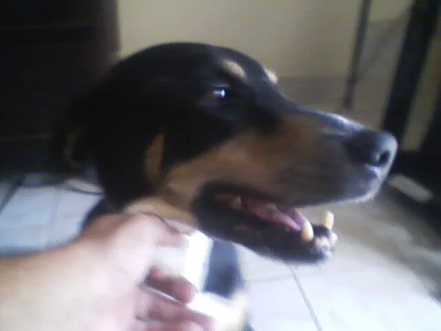 DICKFORWOMEN37 离线XXX聊天