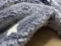 hamed-697's webcam live show