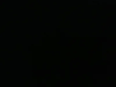 Lil_dog428 - Boy 