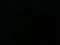 lil_dog428's webcam live show