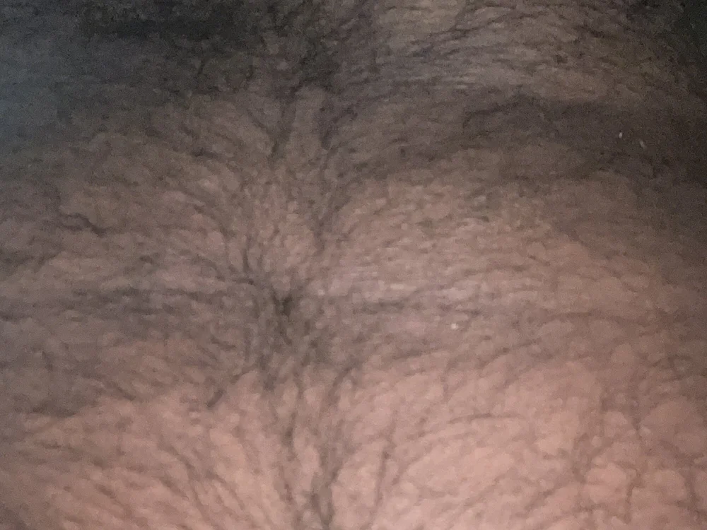 Malluscock offline XXX-chat