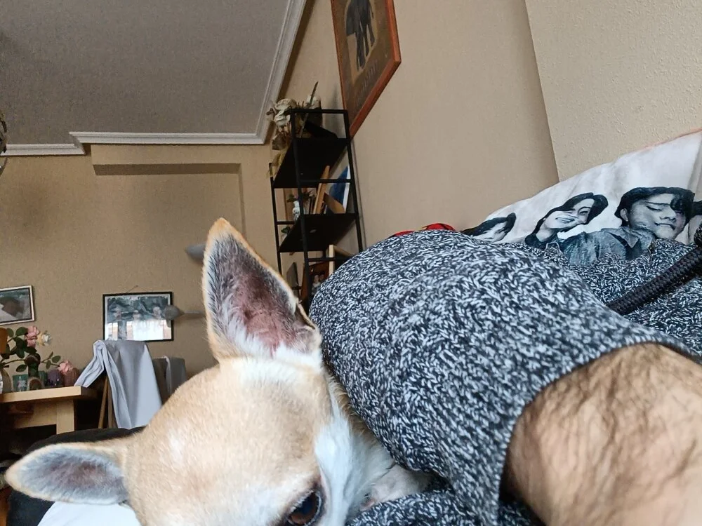 Rickrow666 Offline XXX-Chat