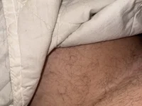 xnxpork