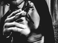 Модель rexflexxx