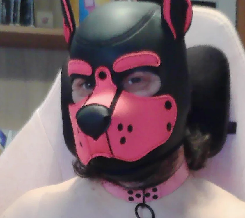 Puppybear69 offline XXX-chat