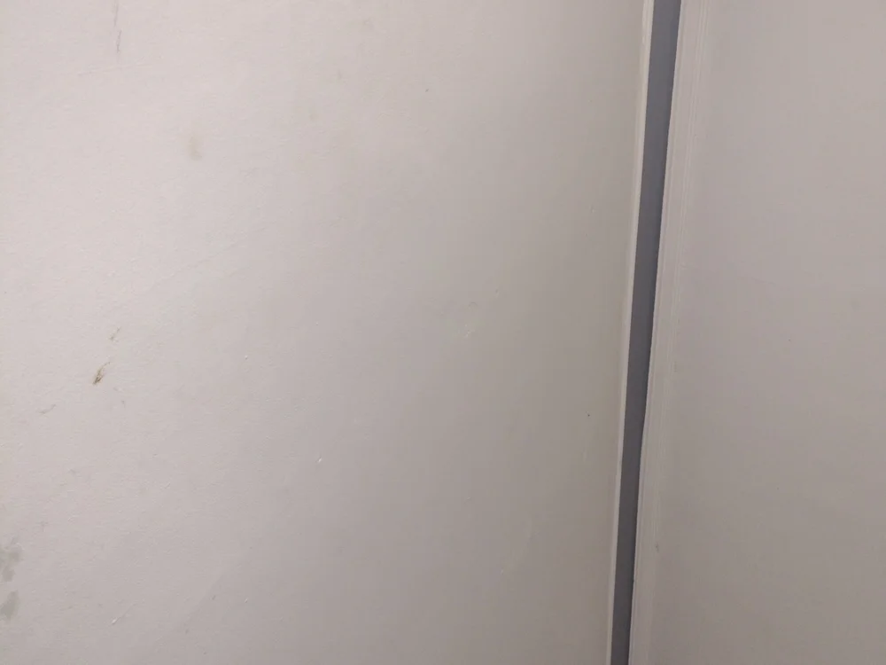 shein7s8's most recent online preview