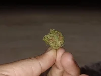 Lucaslgusto01835's webcam live show