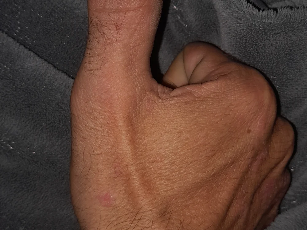 Lenhadorpauzudo offline XXX-chat