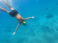 fugissan's webcam live show