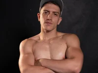 Модель ALANNFERRER