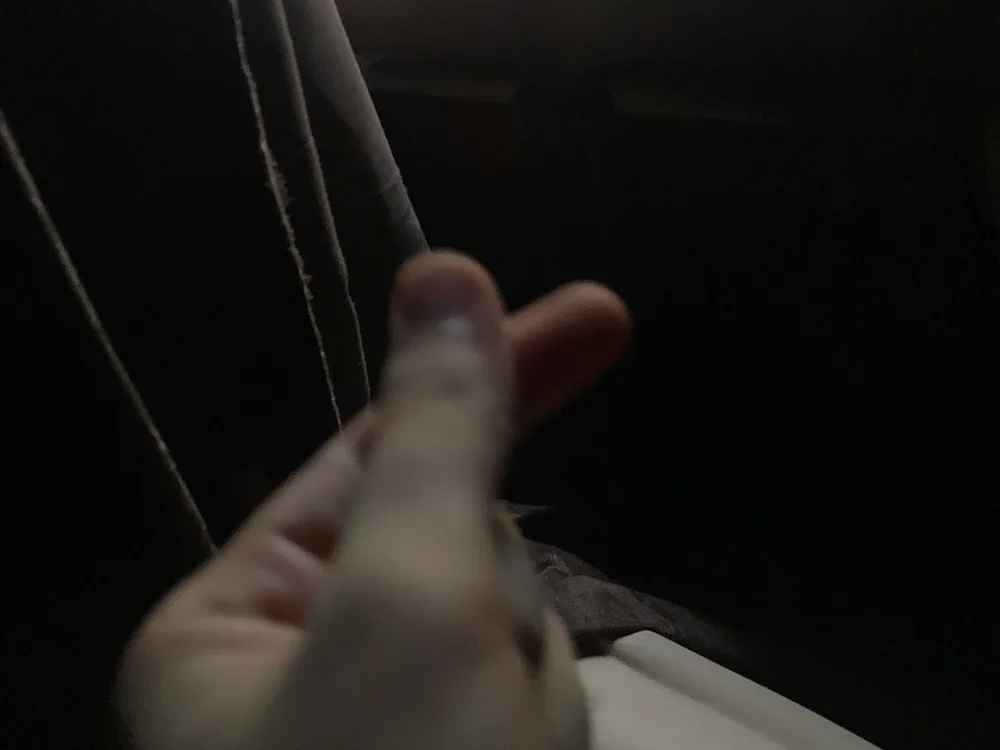 Czat XXX offline – dodo_21321