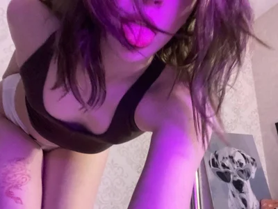 graylovescookies profile