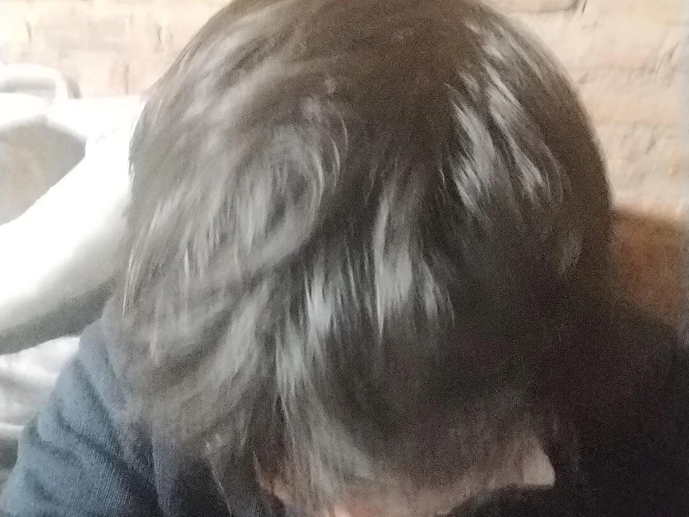 Dankup23 Chat XXX offline
