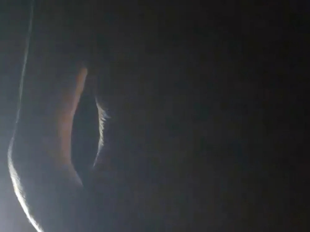 Ghislain59006h3 Chat XXX Ngoại tuyến