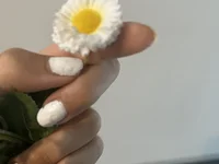 beurettereel