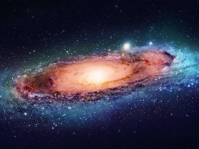 Cam boy 7_INCH_MONSTER