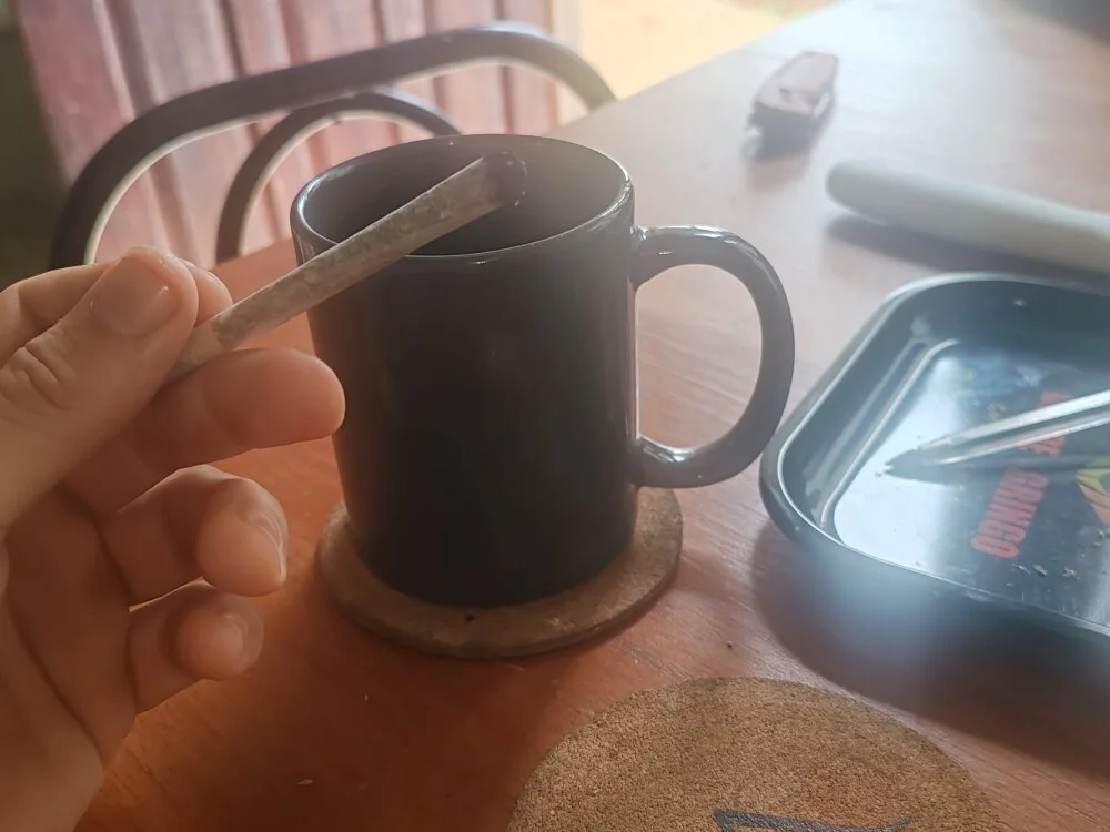 Fercho060996のオフラインXXXチャット