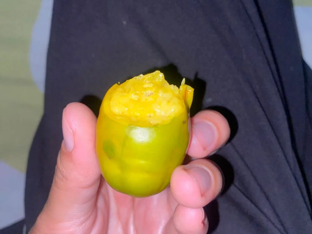 OscarENR: офлайн-секс-чат