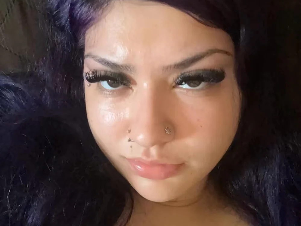 sugarstela