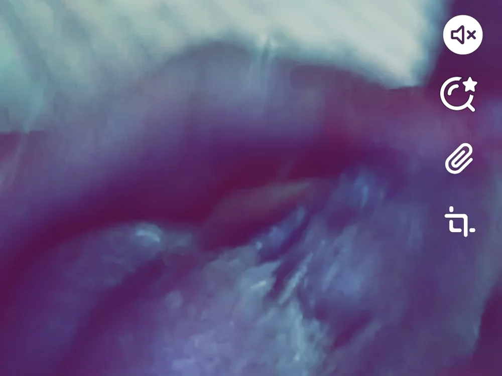 ali1996a1's Offline XXX Chat