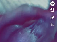 ali1996a1's webcam live show