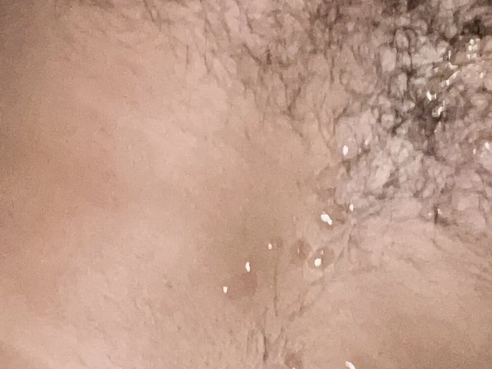 Bigclitlover69 Offline XXX Chat