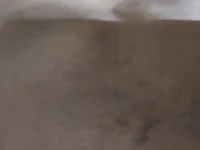 Модель Malibongwe17