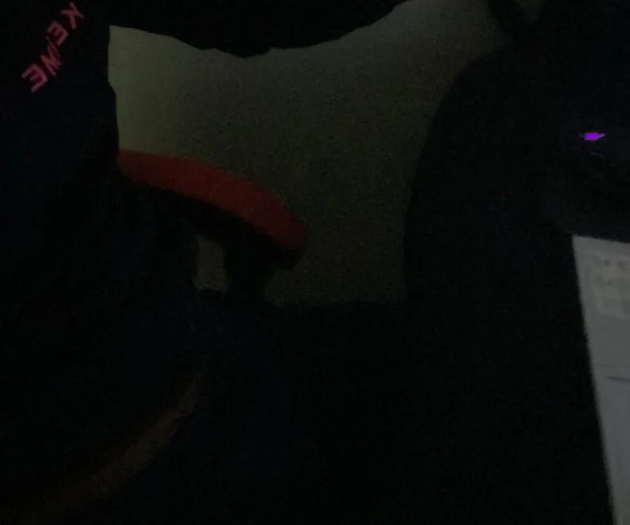 juninholeke20 cam model