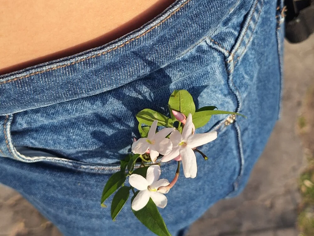 Chat XXX offline de Aya24__