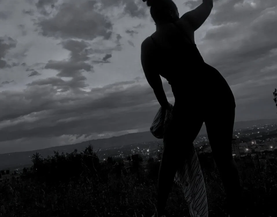 MiniVixen cover photo