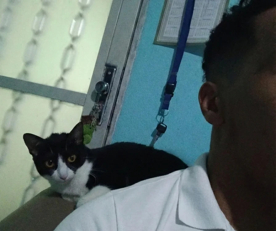 Офлайн-чат XXX andromedazc